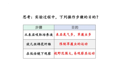 人教版七年级生物上册（2024）1.3.4 单细胞生物 课件(共22张PPT)+视频素材