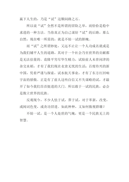 不妨一试作文800字.docx