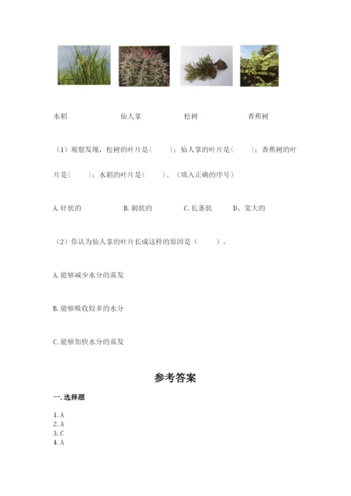 科学四年级下册第一单元《植物的生长变化》测试卷精品（巩固）.docx