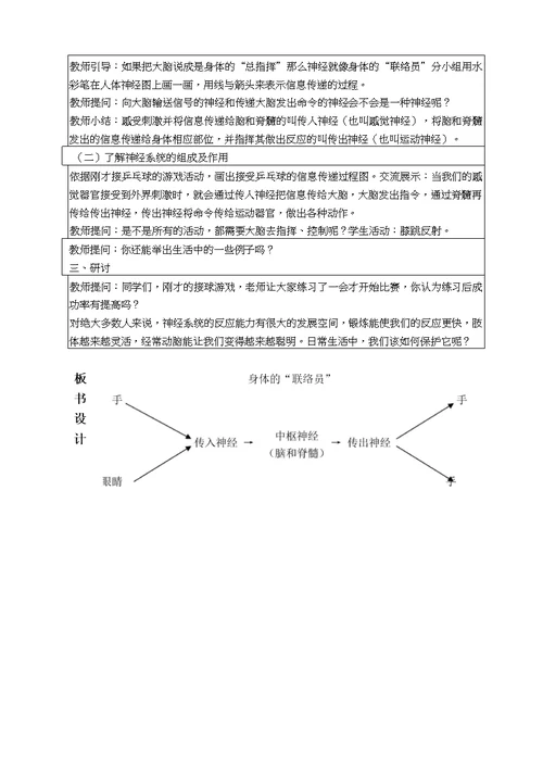 教科版五年级科学上册《身体的“联络员”》教案教学设计