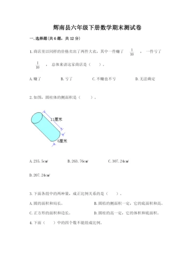 辉南县六年级下册数学期末测试卷word.docx