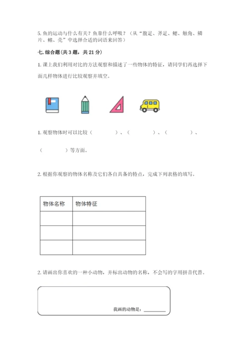 教科版小学科学一年级下册期末测试卷附参考答案（研优卷）.docx