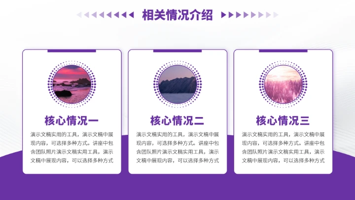 紫色高端风大学生职业生涯规划PPT模板