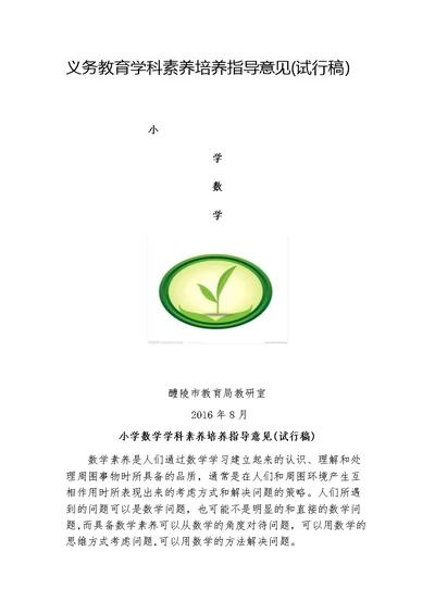小学数学学科素养培养指导意见（试行稿）