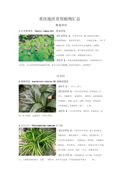 重庆地区常用植物