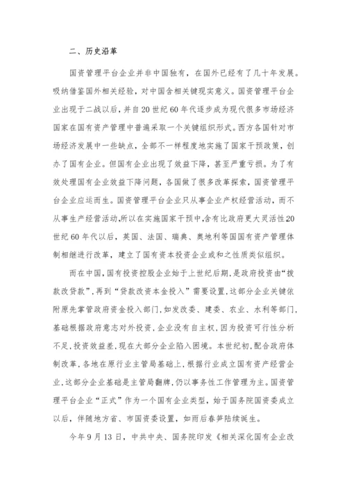 国资投资运营公司运营模式专项研究报告.docx