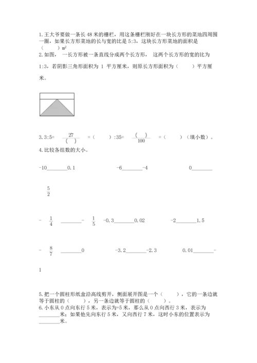 人教版六年级下册数学期末测试卷（精选题）word版.docx