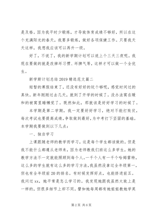 新学斯计划总结20XX年精选范文.docx