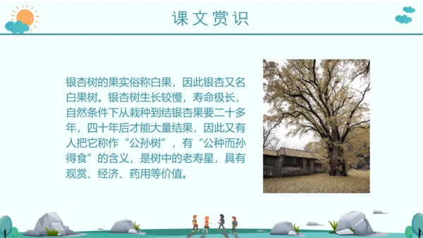 《活化石》语文课件PPT模板