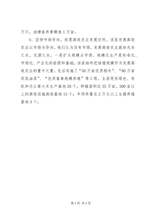 关于XX县区发展高效农业的调查与思考 (2).docx