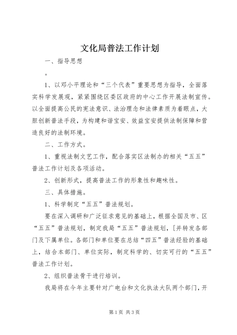 文化局普法工作计划.docx