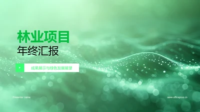 林业项目年终汇报