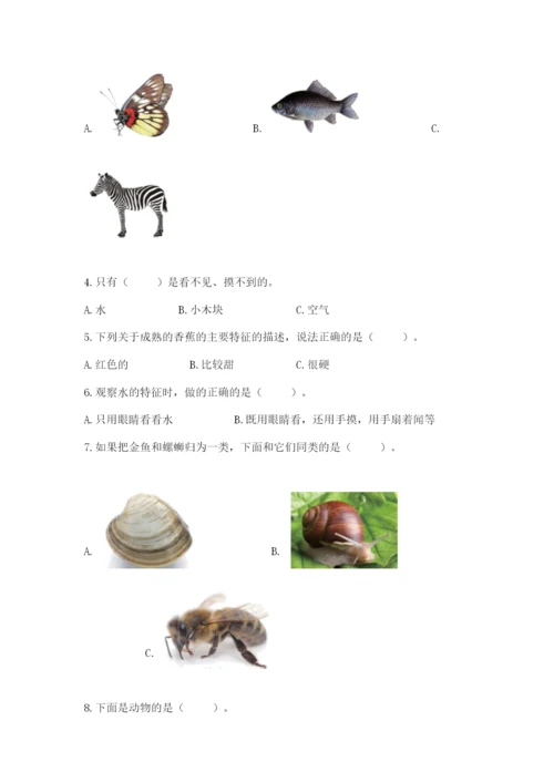 教科版一年级下册科学期末测试卷附答案（考试直接用）.docx