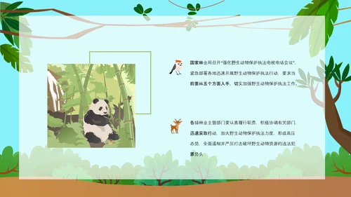 野生动物保护公益活动PPT模板
