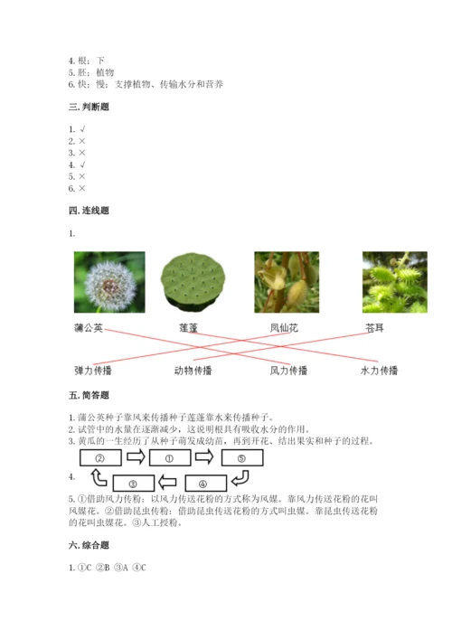 科学四年级下册第一单元《植物的生长变化》测试卷【培优】.docx