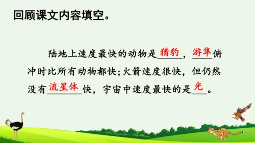 7 什么比猎豹的速度更快 第二课时 课件