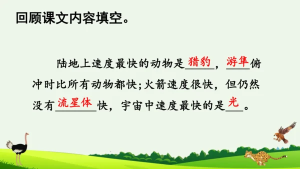 7 什么比猎豹的速度更快 第二课时 课件