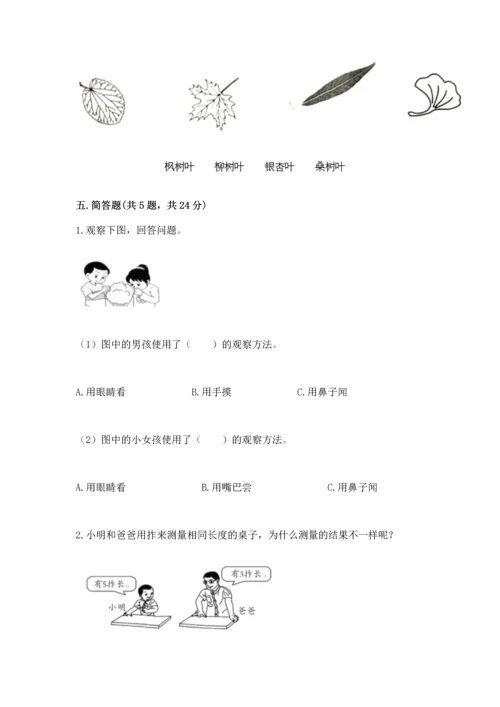 教科版一年级上册科学期末测试卷及答案解析.docx