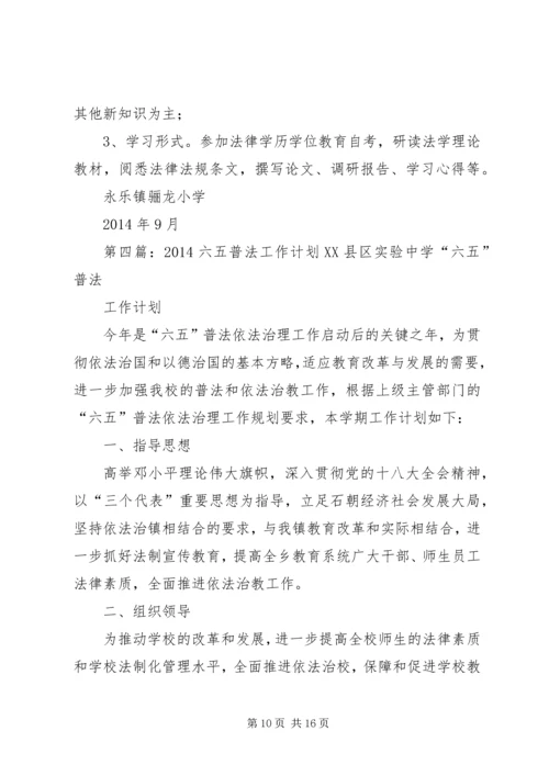 第一篇：“六五”普法工作计划XX市卫生执法监督大队-六·五-普法工作计划.docx