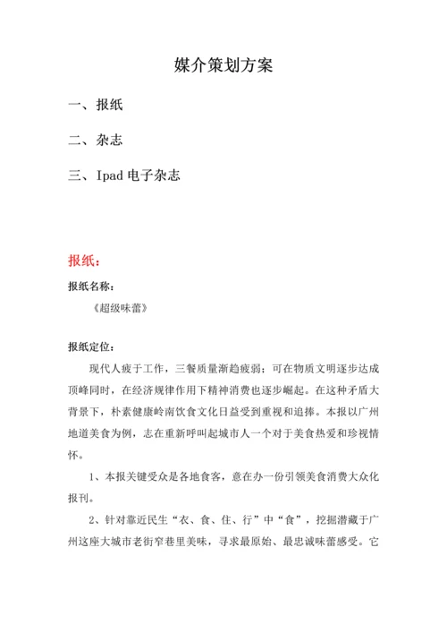 媒介专业策划专项方案.docx