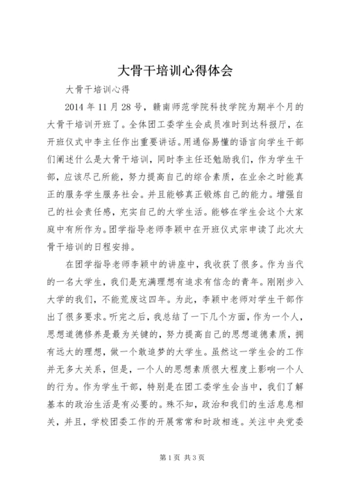 大骨干培训心得体会 (2).docx