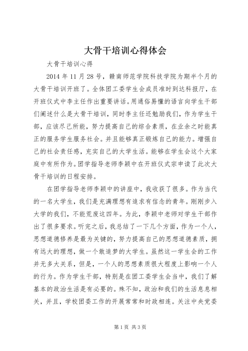 大骨干培训心得体会 (2).docx