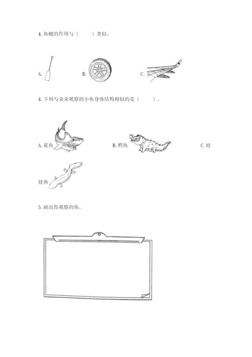 教科版小学科学一年级下册期末测试卷含完整答案【易错题】.docx