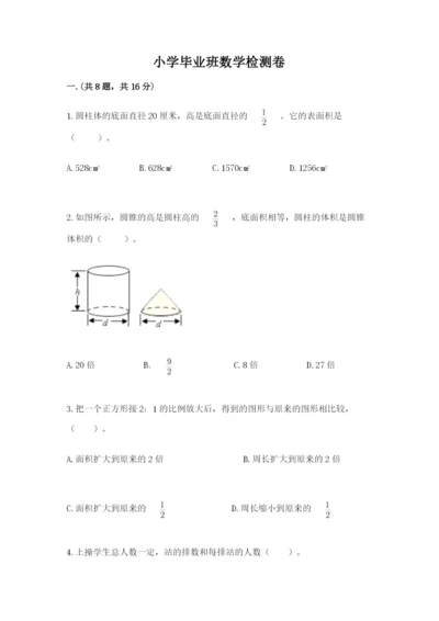 小学毕业班数学检测卷附完整答案【典优】.docx