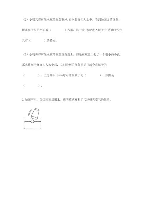 教科版三年级上册科学期末测试卷审定版.docx