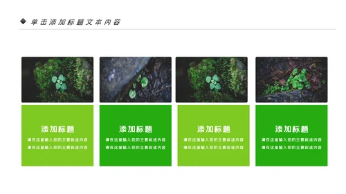 唯美绿色植物发芽植物生长敬畏生命PPT模板