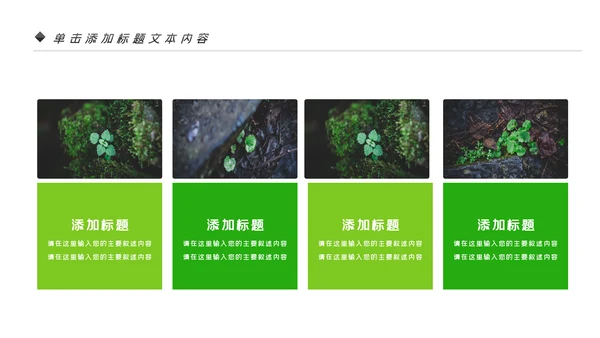 唯美绿色植物发芽植物生长敬畏生命PPT模板