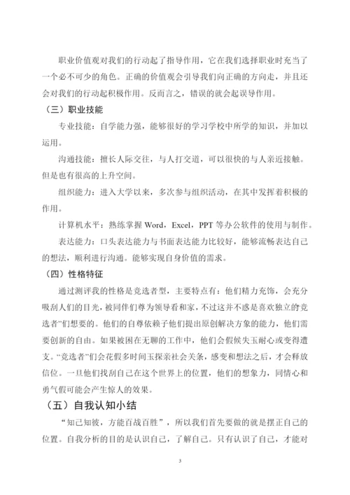 13页5200字物理专业职业生涯规划.docx