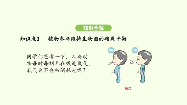 第三单元-第二章-第四节-植物在自然界中的作用课件-2024-2025学年七年级生物下学期人教版(2