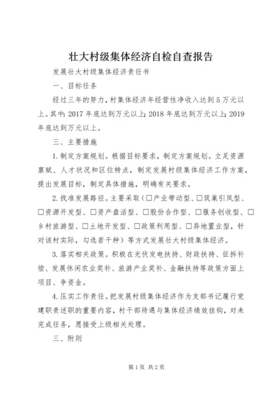 壮大村级集体经济自检自查报告 (3).docx