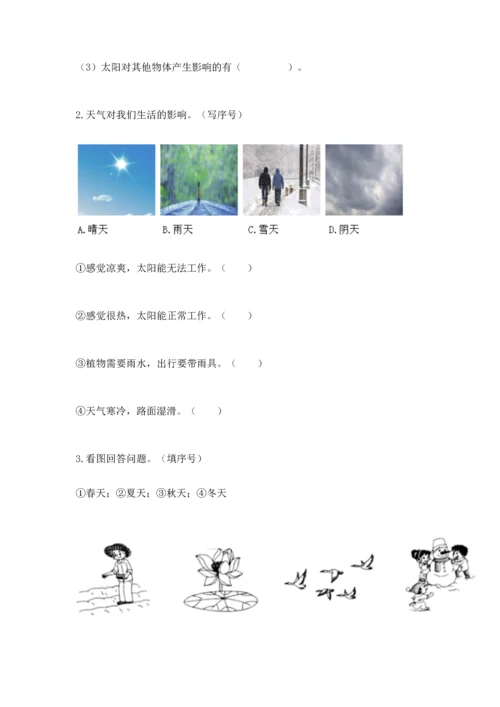 教科版二年级上册科学期末测试卷【研优卷】.docx