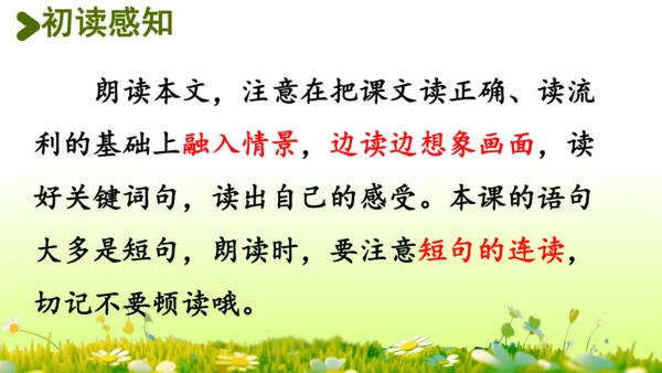 16.雷雨  课件