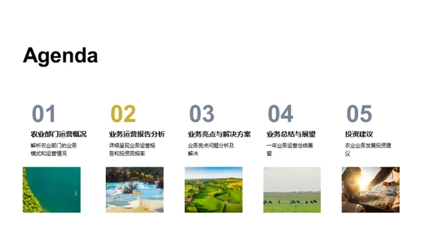 农业领域年度盘点