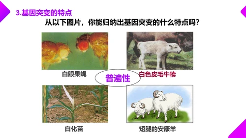 基因突变和基因重组初高中生物PPT课件