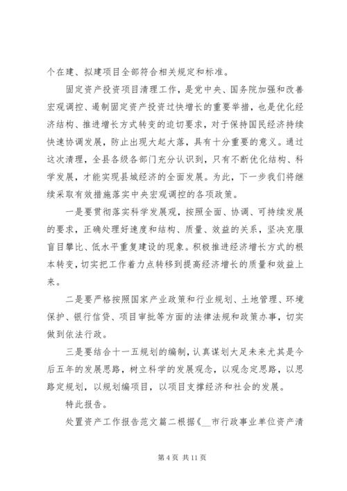 处置资产工作报告范文.docx