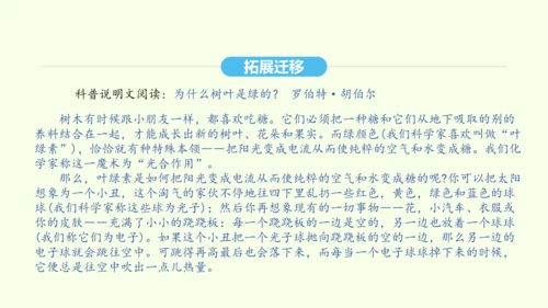 第8课 时间的脚印 统编版语文八年级下册 同步精品课件