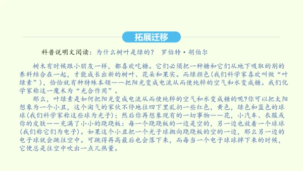 第8课 时间的脚印 统编版语文八年级下册 同步精品课件