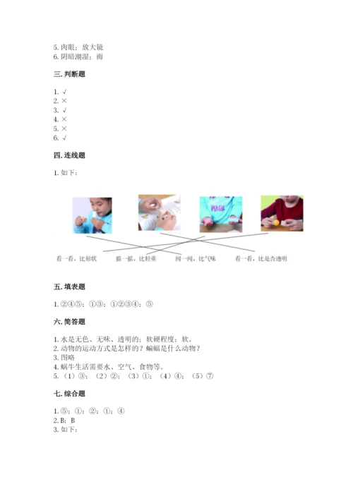 教科版一年级下册科学期末测试卷参考答案.docx