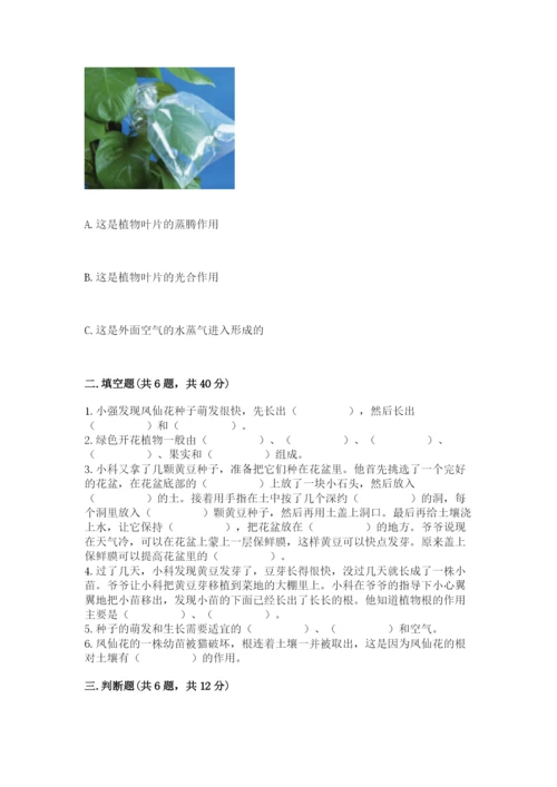 科学四年级下册第一单元《植物的生长变化》测试卷（模拟题）.docx