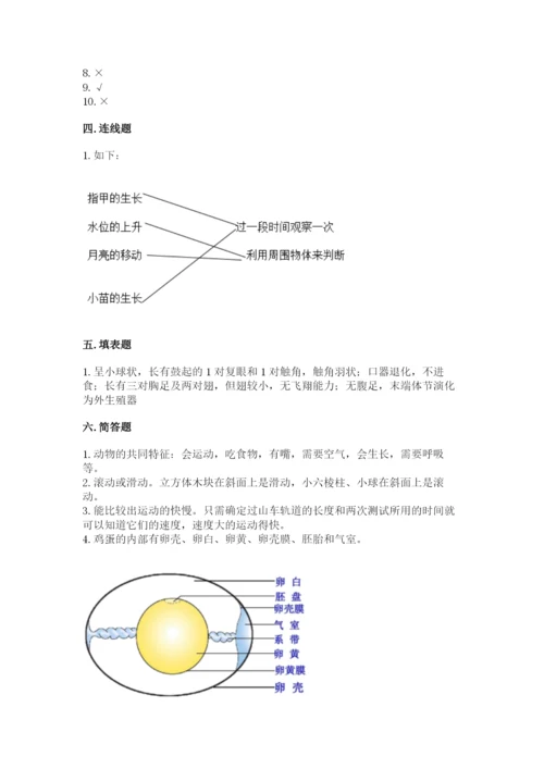 教科版科学三年级下册 期末测试卷精品（巩固）.docx