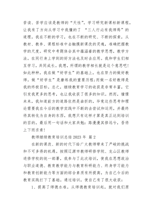 教师继续教育培训总结2023年.docx