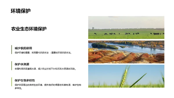 简约风农林牧渔教学课件PPT模板