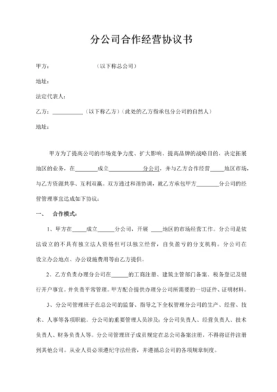 分公司合作协议.docx