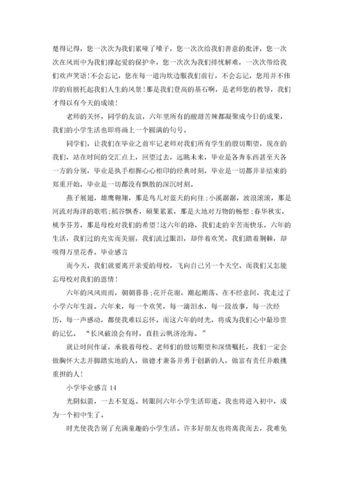 小学毕业感言.docx