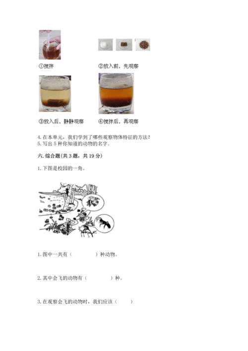 教科版一年级下册科学期末测试卷（必刷）.docx