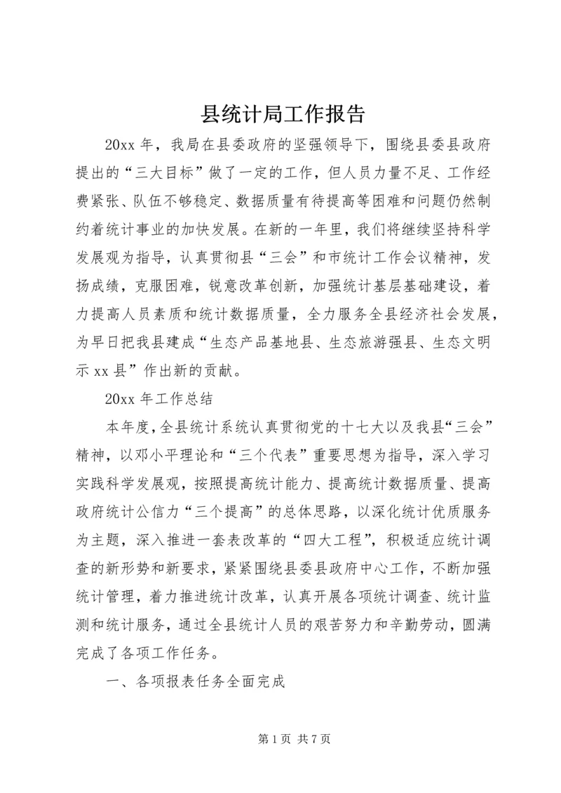 县统计局工作报告 (2).docx